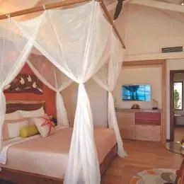 image-https://maldivus.ru/media/villas/3176/image/260x260/beach-villa-villa-35664.webp