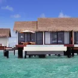 image-https://maldivus.ru/media/villas/3515/image/260x260/water-pool-villa-villa-36770.webp